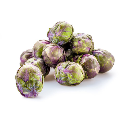 Sprouts, Brussel Baby Purple