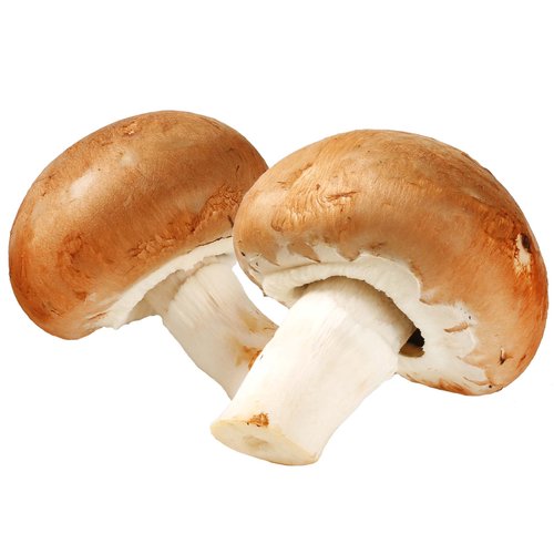 DRIED SHITAKE MUSHROOM 50 GM – neelamfoodland-usa