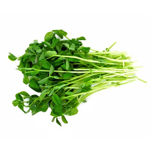 Pea Shoots