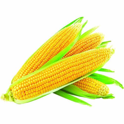 Ewa Sweet Corn, Local (Pack of 4)