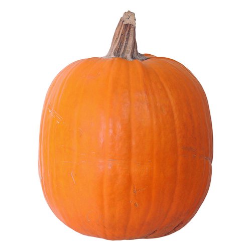 Large Halloween Pumpkin