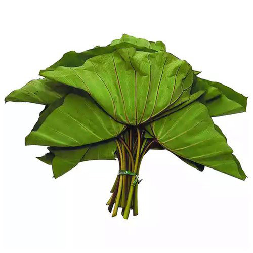 Luau Leaves