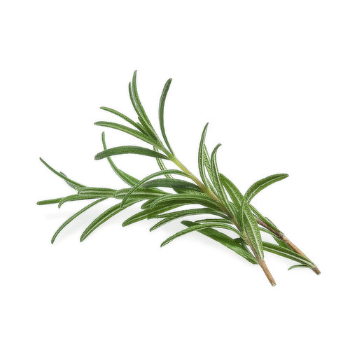 Rosemary