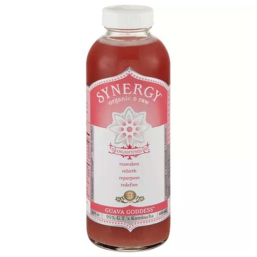 GT's - Synergy Raw Kombucha, 16 fl oz | Multiple Flavors