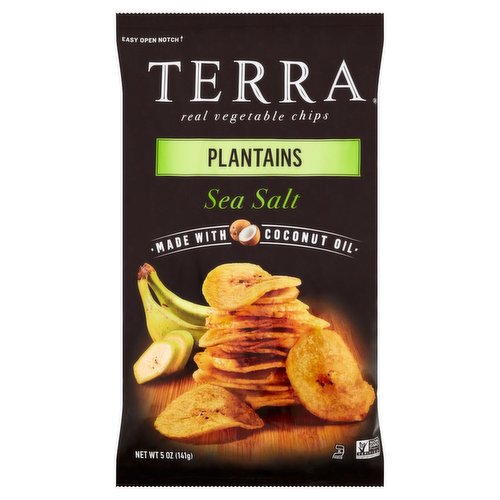 Terra Plantains W/ Sea Salt