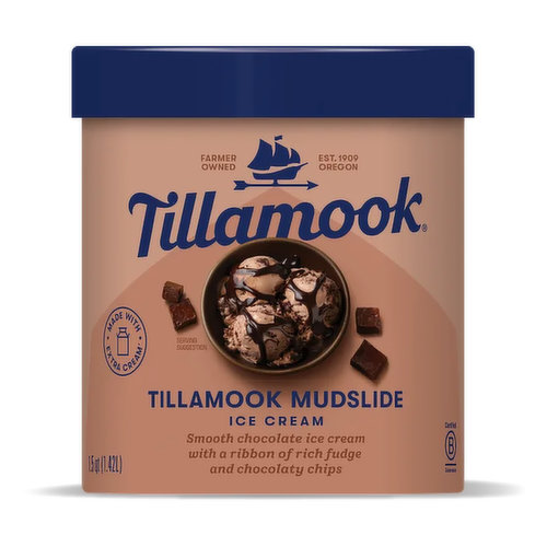 Tillamook Mudslide Ice Cream