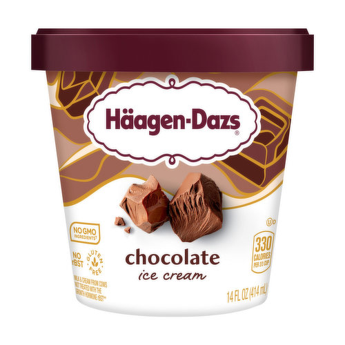 Haagen-Dazs Ice Cream, Chocolate