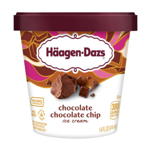 Haagen-Dazs Ice Cream, Chocolate Chip