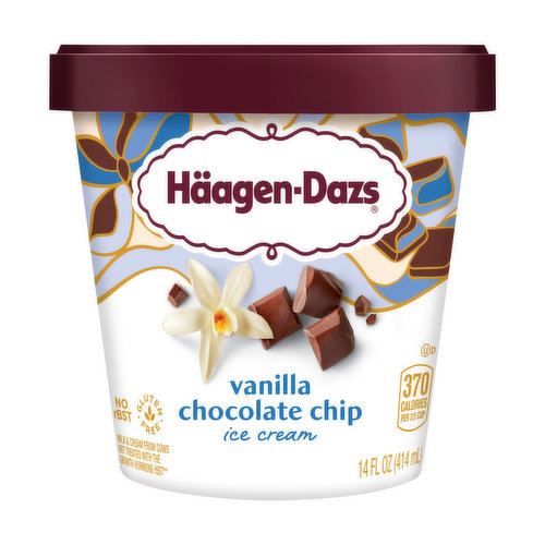Haagen-Dazs Ice Cream, Vanilla Chocolate Chip