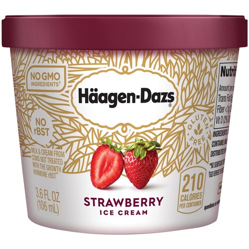 Haagen Dazs Ice Cream Strawberry