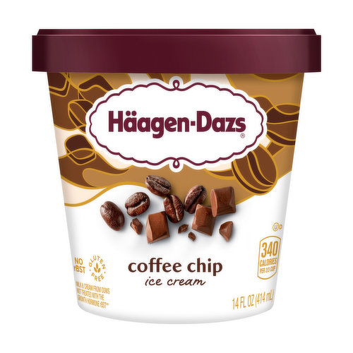 Haagen-Dazs Ice Cream, Coffee Chip
