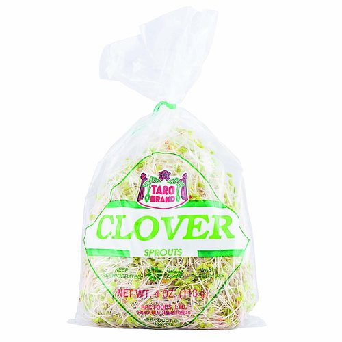 Taro Brand Clover Sprouts