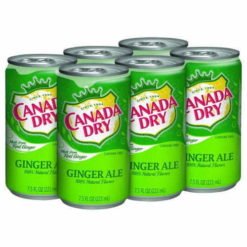 Canada Dry Ginger Ale Mini, Cans (Pack of 6) - Foodland