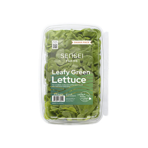 Sensei Farms Salad, Local Green Leaf