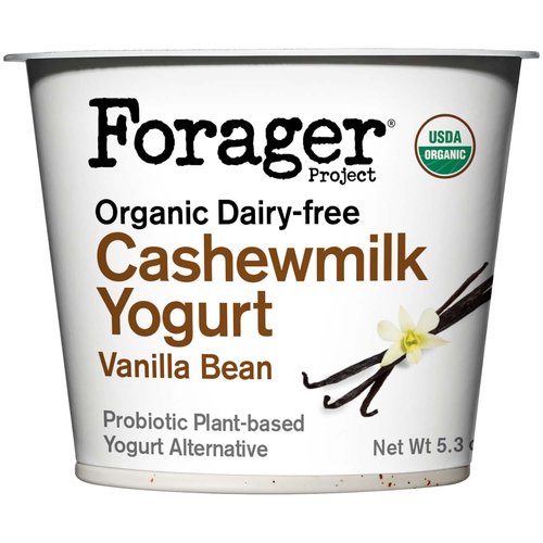 Forager Project Organic Probiotic Vanilla Bean Cashewmilk Yogurt Alternative