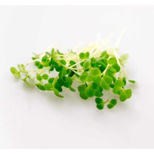 Broccoli Microgreen Mix