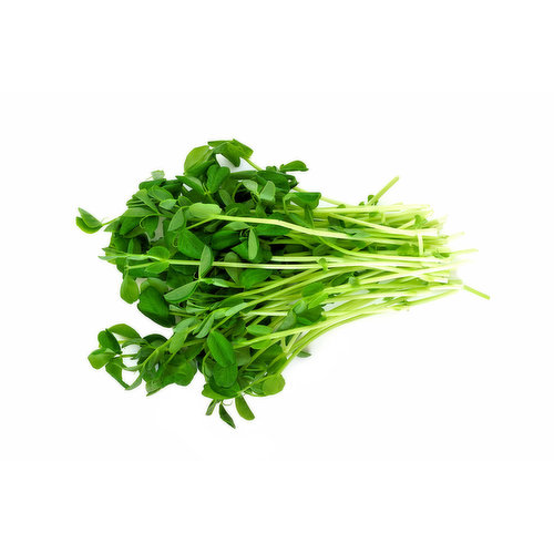 Green Pea Shoots