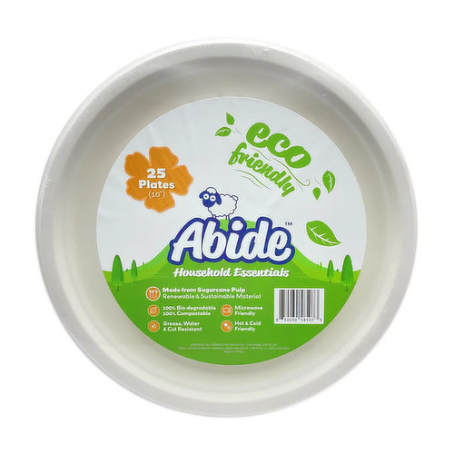 Abide Dinner Plates 10"