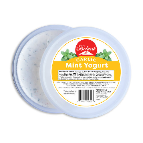 Bolani Garlic Mint Yogurt