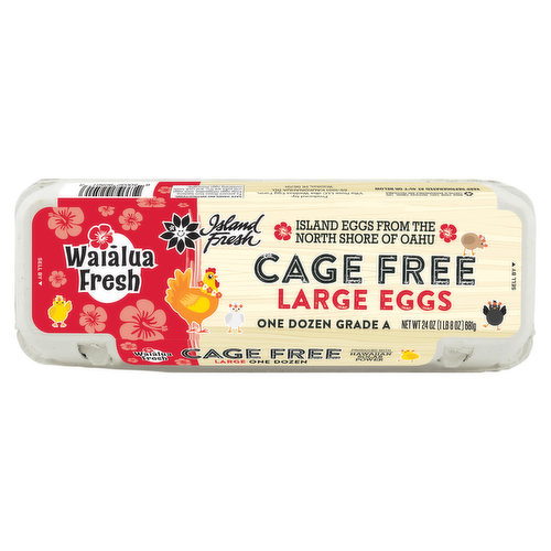 Waialua Large Cage Free White Eggs
