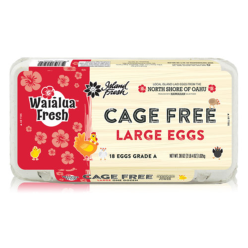 Waialua Large Cage Free White Eggs