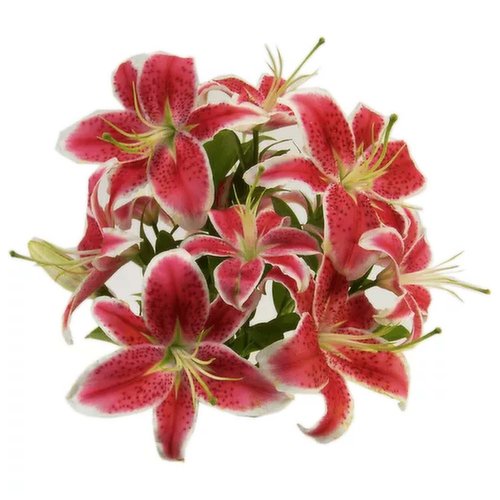 Lilies Assorted 3-Stem