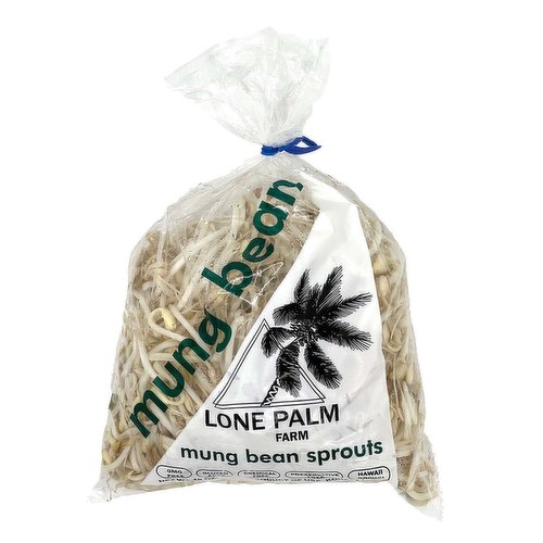 Local Lone Palm Mung Bean Sprouts