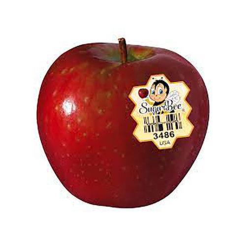 Organic Envy Apple (ea)