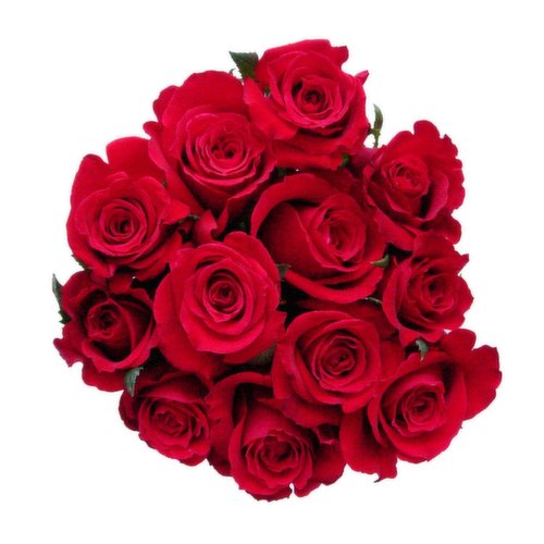 Dozen 60cm Long Stem Roses - Foodland