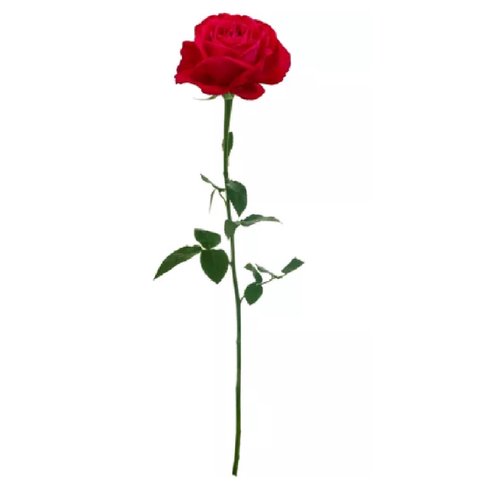 Red Silk Single Long Stem Rose, 30in - Fisch Floral Supply