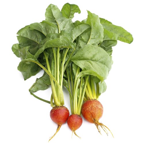 Beets, Golden Local