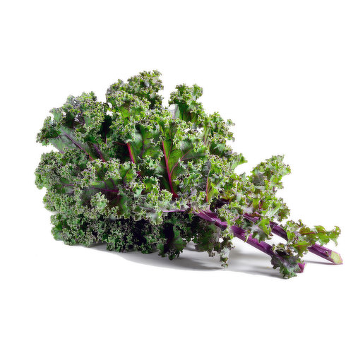 Kale, Local Red Russian Organic