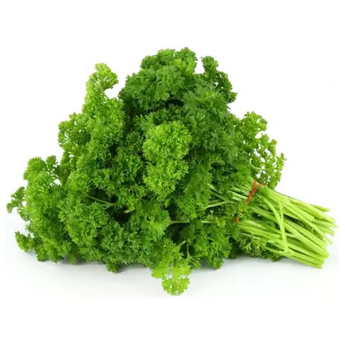 Organic American Parsley