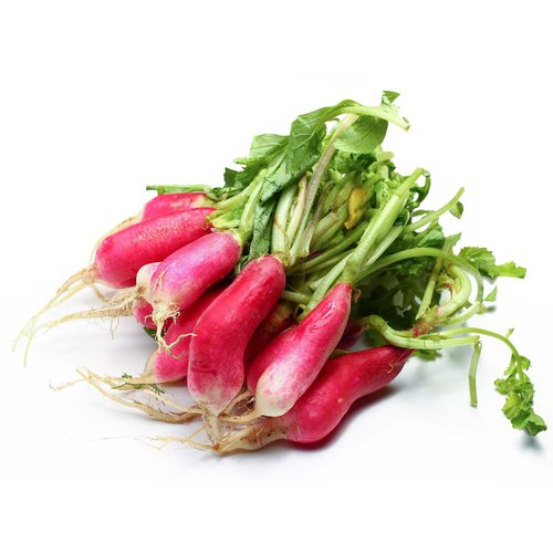 Local French Breakfast Radish