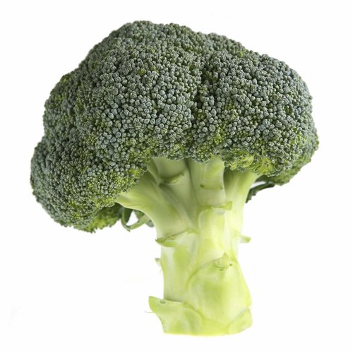 Organic Broccoli, Local, 1 Pound
