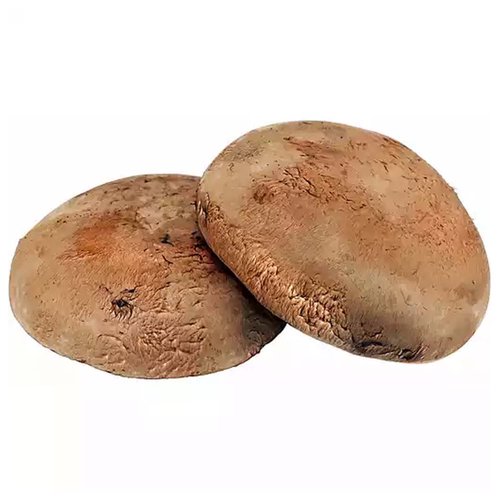 Organic Mushroom, Tutu Portabel