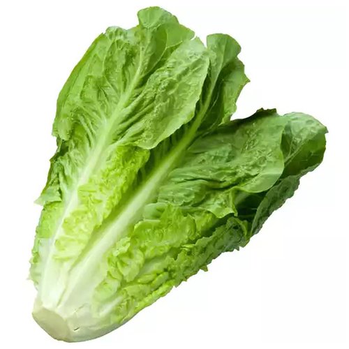 Local Organic Romaine Lettuce