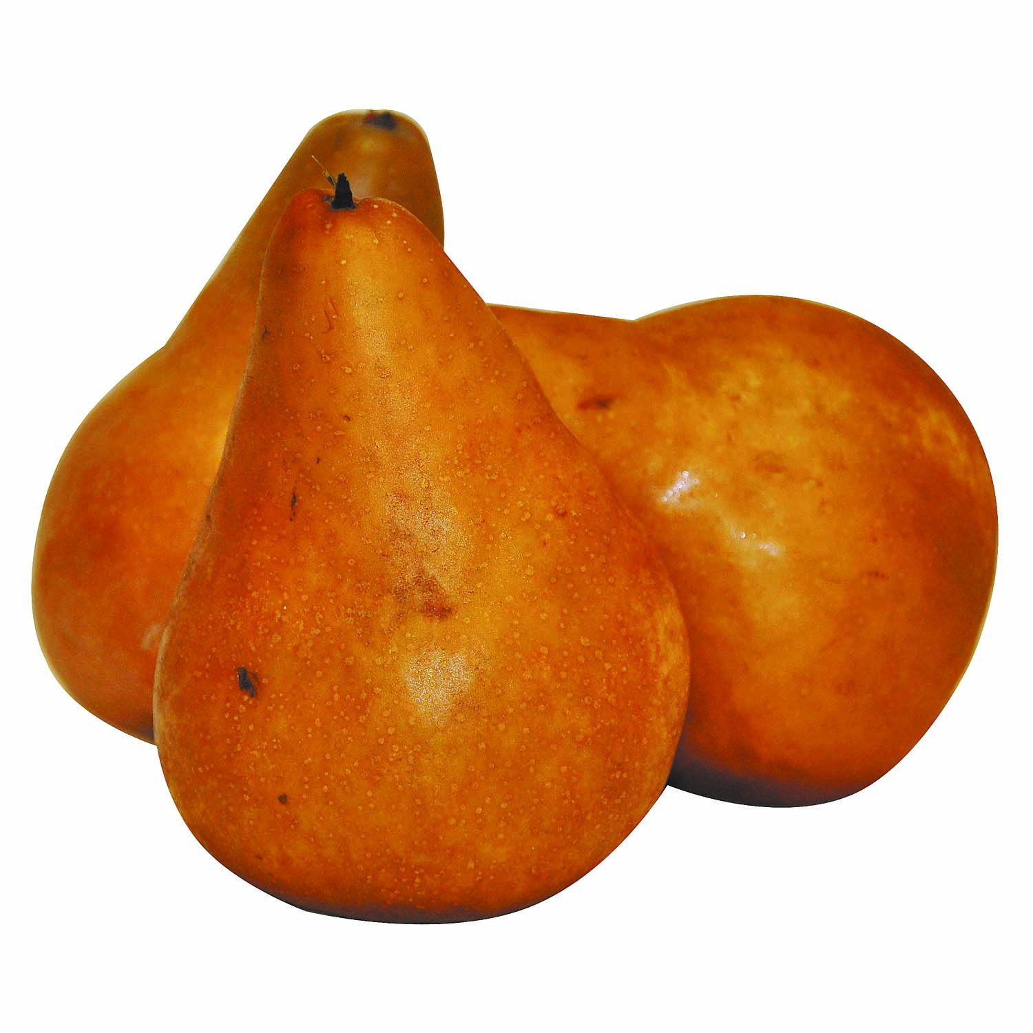 Fresh Bosc Pears, 3 lb Bag 