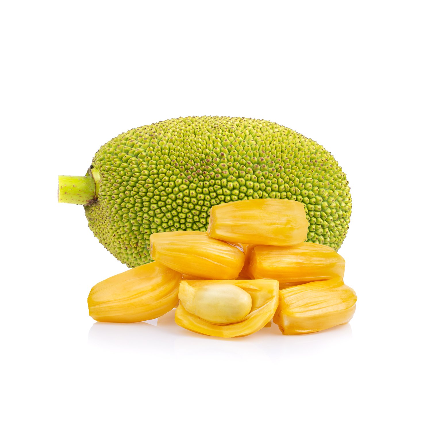 is jackfruit okay for dogs