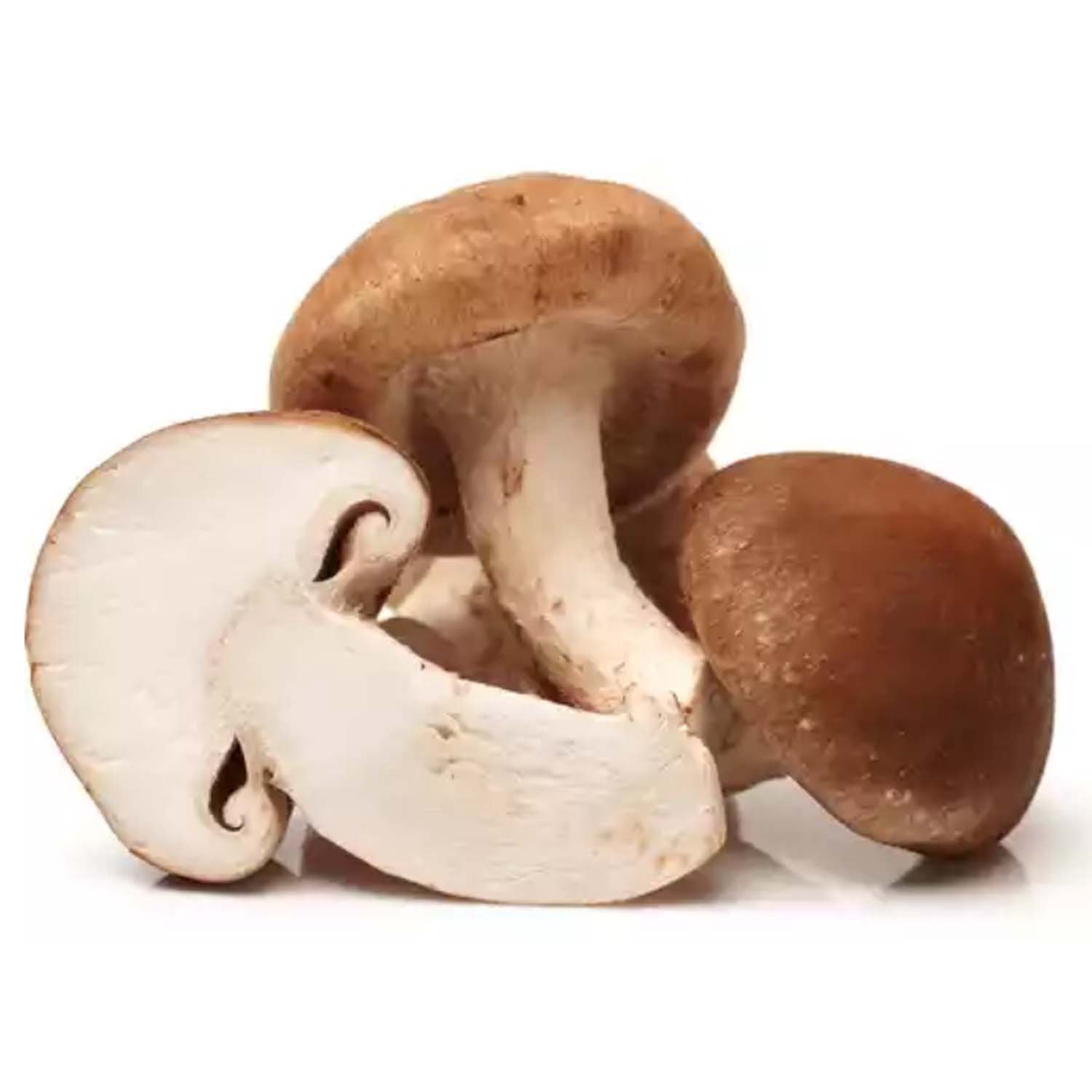 DRIED SHITAKE MUSHROOM 50 GM – neelamfoodland-usa