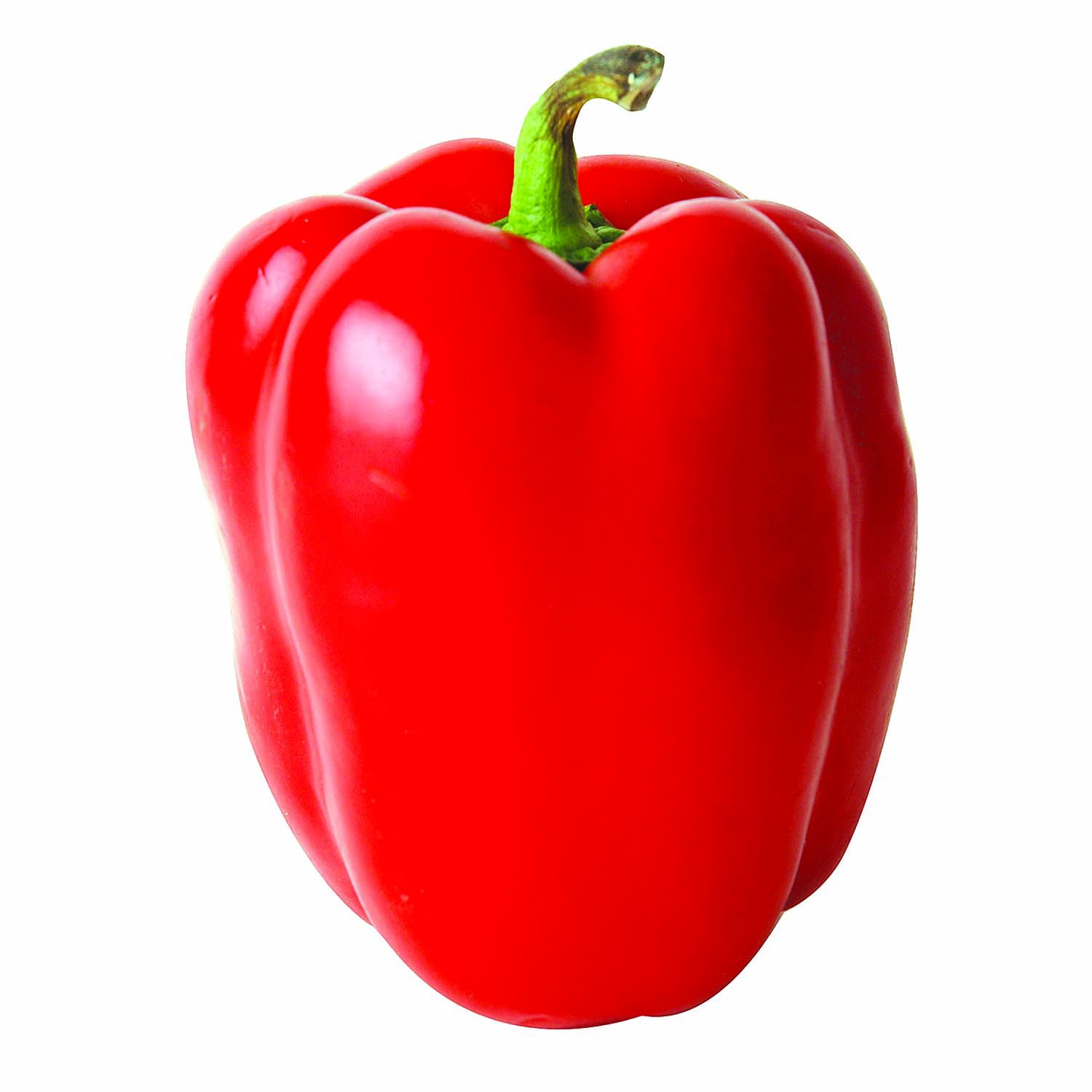 Red Bell Pepper