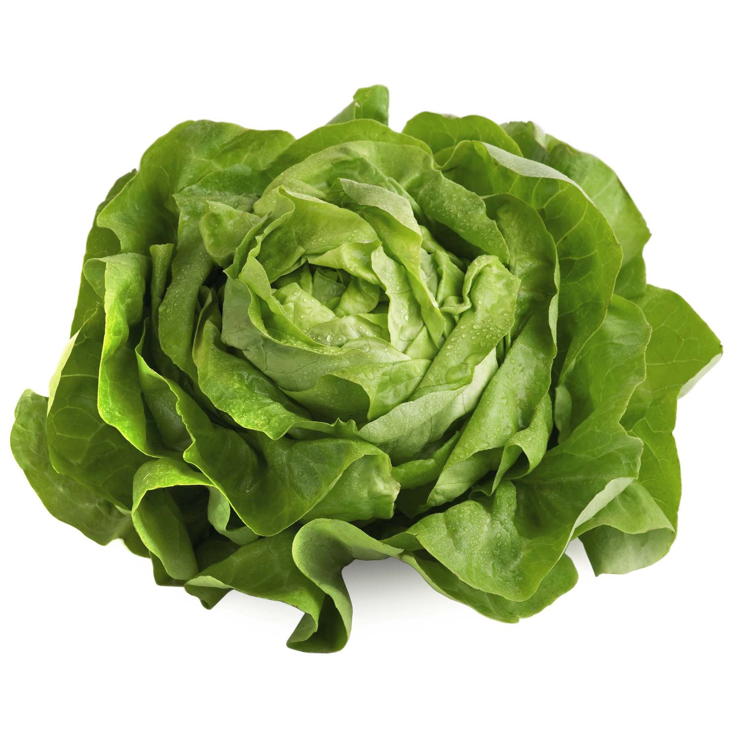 Organic Boston Butter Lettuce at Whole Foods Market