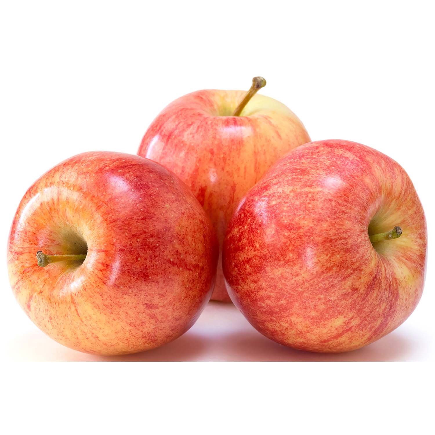 Organic Gala Apples (P/U)