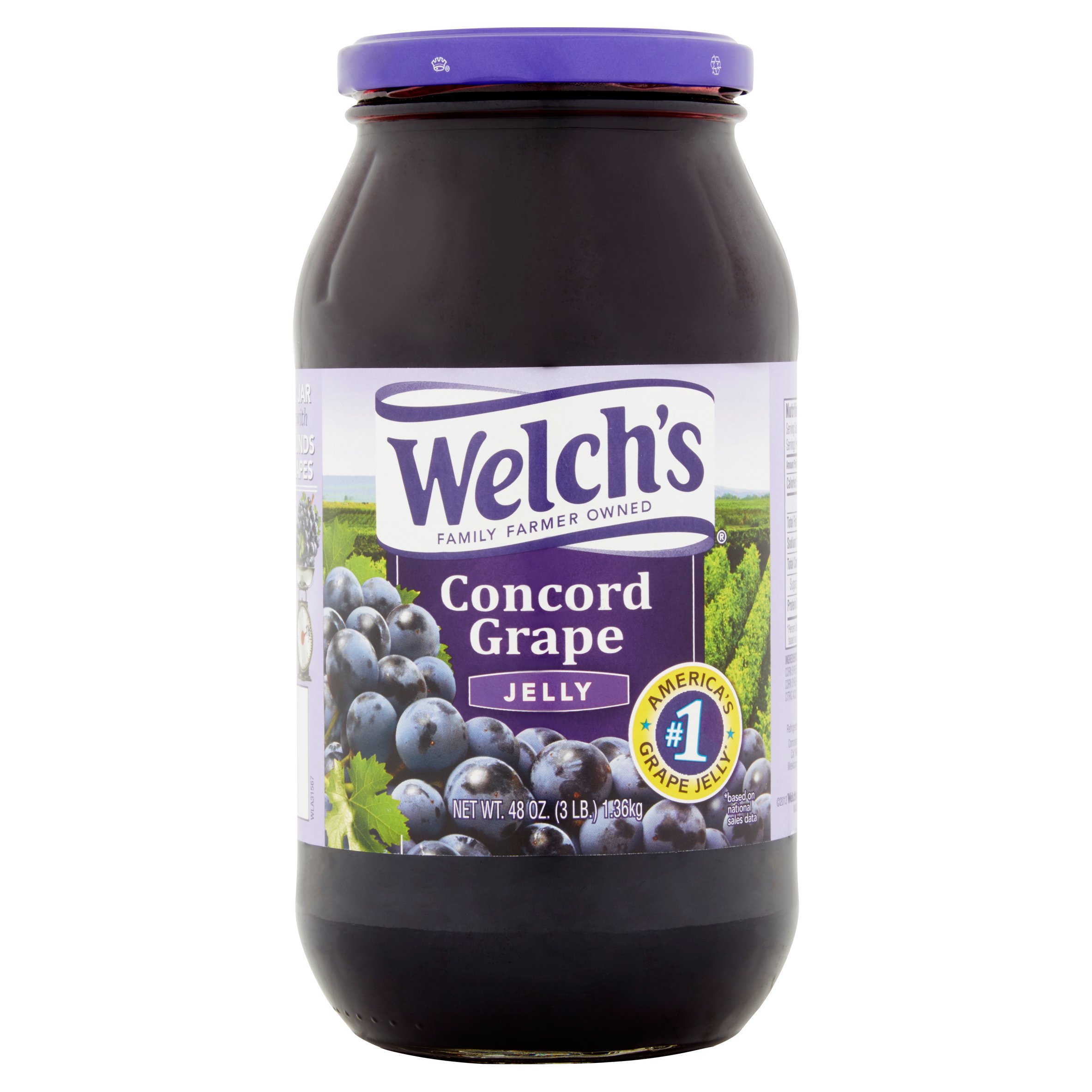 Welch S Concord Grape Jelly 48 Oz 