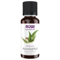 Now Essential Oils, Eucalyptus, 1 Fluid ounce