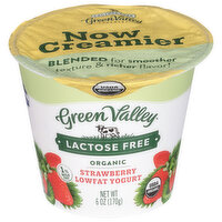 Green Valley Creamery Organic Lactose Free Strawberry Yogurt, 6 Ounce