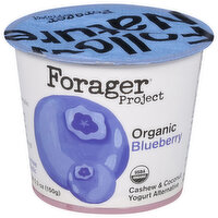 Forager Project Organic Dairy-Free Blueberry Cashewmilk Yogurt, 5.3 Ounce