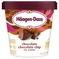 Haagen-Dazs Chocolate Chocolate Chip Ice Cream, 14 Ounce