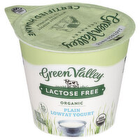 Green Valley Creamery Organic Low Fat Plain Yogurt, 6 Ounce