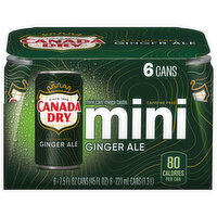 Canada Dry Ginger Ale, 6 Each